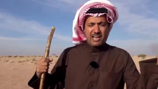 عيد اليحيى : شرارة حرب البسوس على يد الزير سالم