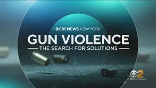 Gun Violence: The Search for Solutions