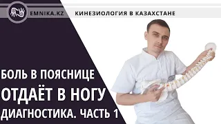 Боль в пояснице отдаёт в ногу. Диагностика, лечение.