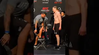 Werdum VS Volkov