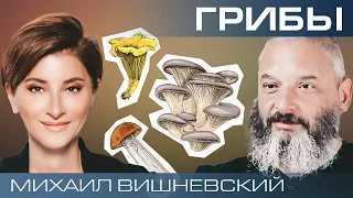 Грибы – наши союзники или враги? Миколог Михаил Вишневский