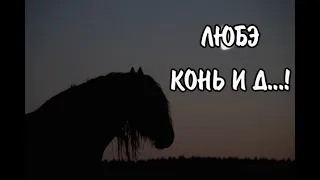 Любэ конь - и д.....!