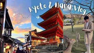 kyoto vlog 🇯🇵 bamboo forest, halal ramen, temple, shrine gates, deer park, matcha ice cream