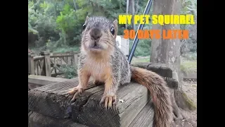 My Pet Squirrel Wild Animal Rescue National Geographic Kids Adventure Channel Nature