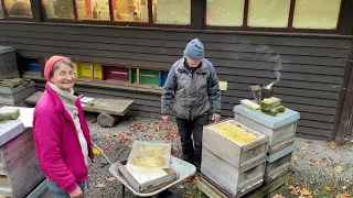 Gemeinsam Teilen und Behandeln 4 - Live von Pias Bienenstand - 7.11.