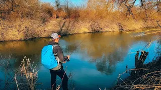 Риболовля На Весняній Річці 2024 - Різнорибиця 100%