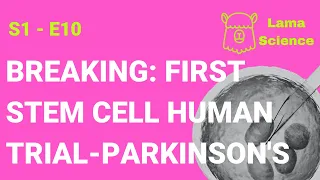 Positive results 2024: The first-ever human trial with Stem Cell therapy for Parkinson's disease