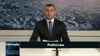 Felhívás