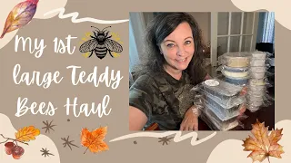 My first large Teddy Bees wax haul