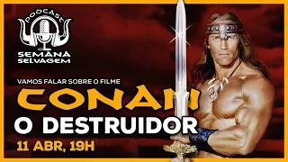 Os 40 anos de Conan, The Destroyer