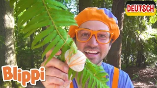 Blippi Deutsch - Blippi erkundet die Natur | Abenteuer und Videos für Kinder