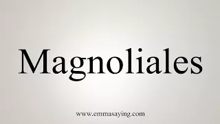 How To Say Magnoliales