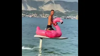 Розовый фламинго 🦩 Pink flamingo