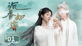 《沉香如蜜》EP01 | 天有异象，故事即将开始☄️| 杨紫成毅 | Immortal Samsara |【追剧杂货铺】