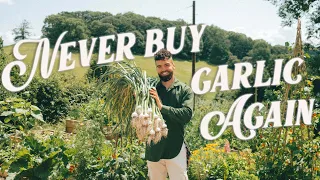 Never Buying Garlic or Getting SICK again