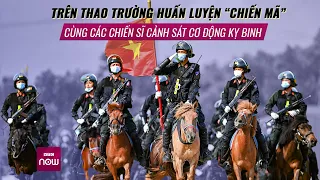 Mục sở thị thao trường huấn luyện "siêu chiến mã" của cảnh sát cơ động kỵ binh | VTC Now