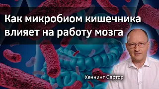 Как микробиом кишечника влияет на работу мозга. Хеннинг Сартор. Верба Майер. Микробиота