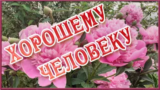 🌺🌺🌺Пожелание Прекрасному человеку от меня! Красивая Музыкальная Открытка