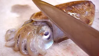 Sliced raw cuttlefish / Making Cuttlefish Sashimi / Amazing cuttlefish fillet master