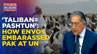 Pakistan Embarrassed At UN After Envoy Equates Taliban With Pashtun. Will Ambassador Apologise?