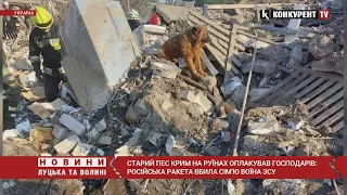 😢Старий пес Крим на руїнах оплакував господарів: російська ракета вбила сім’ю воїна ЗСУ