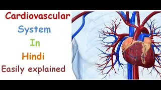 Cardiovascular system in hindi || functions || structure || pulmonary and systematic circulation
