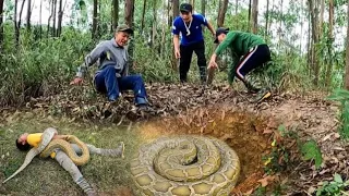 QUYEN FISHING117 | The group of hunters ran away when they encountered a 100kg giant python.