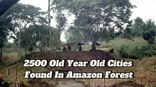 Huge Network Of Ancient Cities Uncovered In The Amazon Rainforest