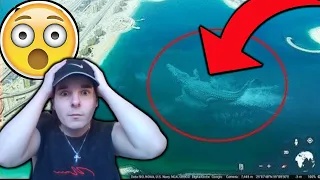 7 Mysterious Deep "Sea Creatures" Spotted On Google Earth Reaction!