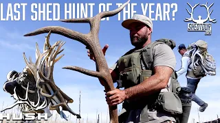 SHED HUNTING IS ALL LUCK? | SHEDTOUR S5EP7