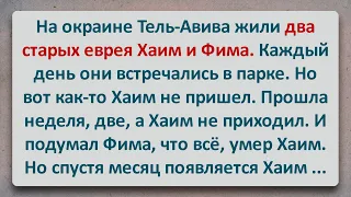 ✡️ На Окраине Тель-Авива Жили Хаим и Фима! Еврейские Анекдоты! Анекдоты про Евреев! Выпуск #172