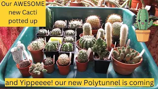 Our AWESOME new Cacti potted up & Yippee! our new Polytunnel is coming #cactus #cacti