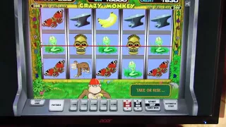 Выигрыш в Crazy Monkey в онлайн казино вулкан! Методика, способ обыграть