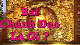 Bát Chánh Đạo Là Gì - Cư Sĩ Thiện Tâm