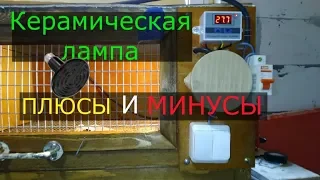 Керамические Лампочки для Брудера. Плюсы и минусы