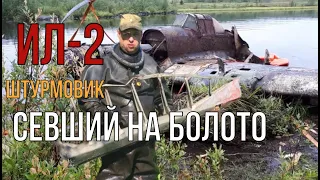 ИЛ-2, Штурмовик, упавший в болото... Памяти погибшим лётчикам посвящается.