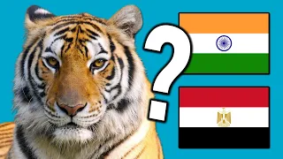 Guess The Country by The National Animal 🦈 🐯 🦅