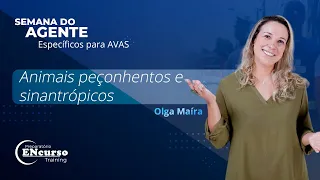 🟠⚫ 📹 Animais Peçonhentos e Sinantrópicos - Prof. Olga Maira ⚫🟠