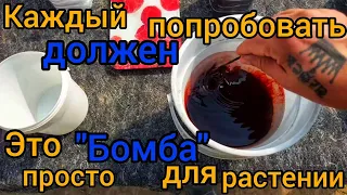 САМОЕ ЛУЧШЕЕ УДОБРЕНИЕ ЧТО Я ВИДЕЛ В ЖИЗНИ. Для развития и роста любых культур. ПОШАГОВО КАК ГОТОВИТ