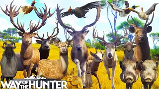 I Hunt Every Animal on Matariki Park | Way of the Hunter
