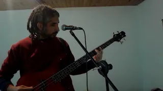 Very Ape (Nirvana) cover en español | bajo y voz