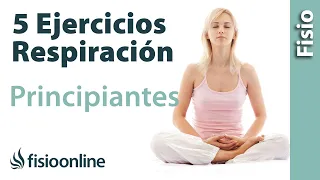 5 Ejercicios fáciles de Respiración | GUIA PARA PRINCIPIANTES