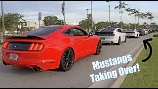 Mustangs Everywhere + Pullouts #10 - Mustangs taking over the meet!