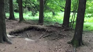 The real EASY COMPANY FOXHOLES in Bastogne in 2015