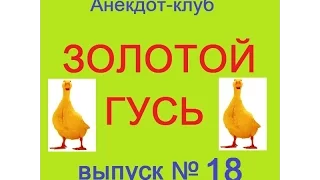 Анекдоты - Золотой гусь № 18