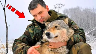 The man saved the wounded she-wolf, and a year later she thanked him!