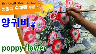 신종식수채화투어[양귀비 꽃 ]watercolor painting TV foundation 水彩画, 水彩畫, Aquarelle, акварельный, poppy flower