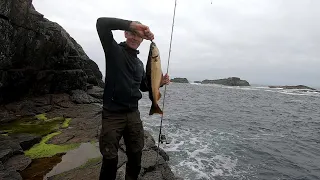 Pollack Fishing at the Boiling Pot, August 2022