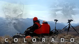 Colorado Deer and Elk Hunting - Big snow storm and below 0 temps