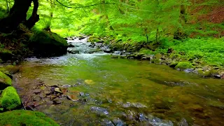 4K HDR Relaxing mountain stream.  Peaceful water flowing sound and birds chirping in the forest.